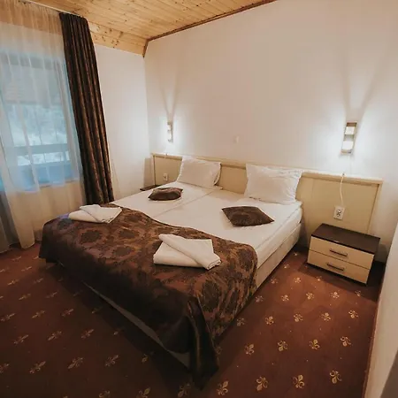 Guest house Pensiunea 3*