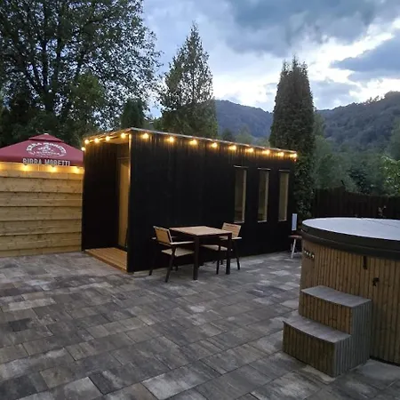 Guest house Pensiunea