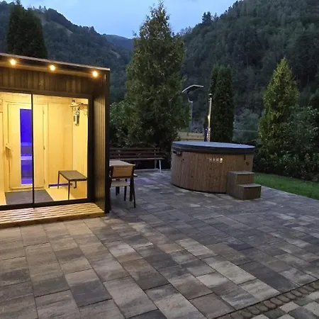 Guest house Pensiunea 3*